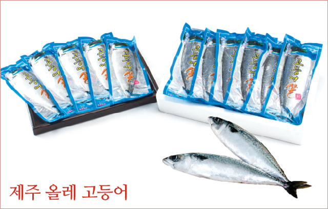 제주 올레 고등어