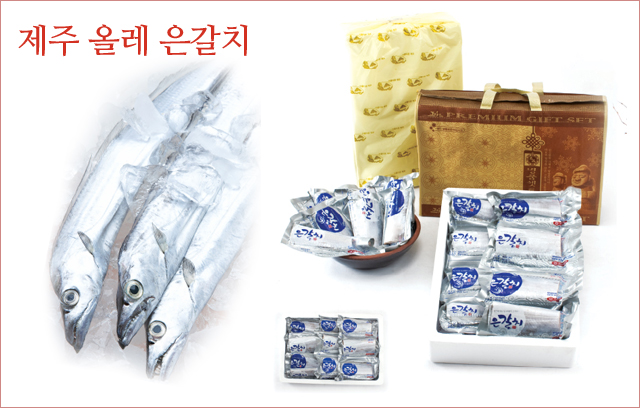 제주 올레 은갈치